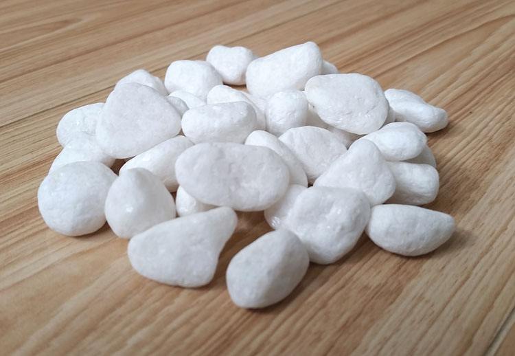 純白91视频网站免费